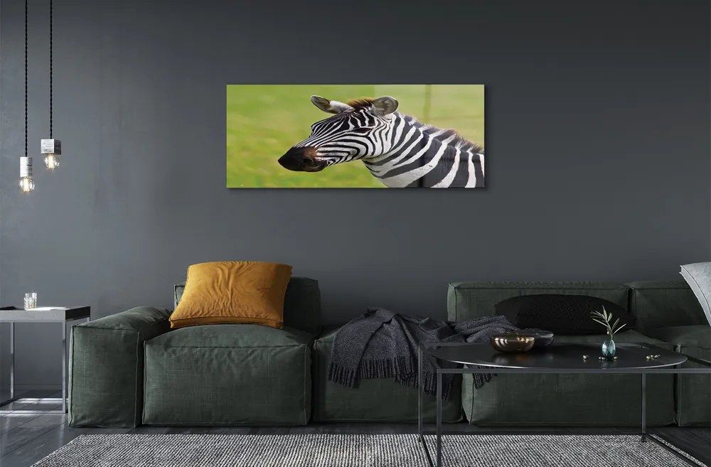 Obraz akrylowy Zebra