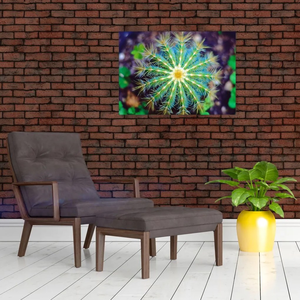 Obraz na szkle - kaktus (70x50 cm)