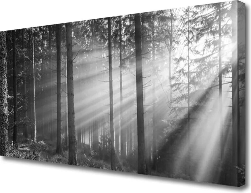 Obraz canvas na ścianę Kaskada nad Górską Przepaścią