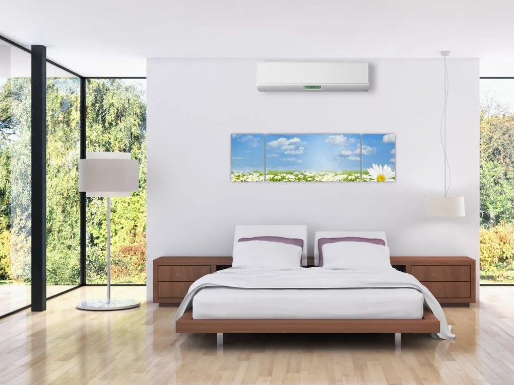 Obraz kwitnącej łąki ze stokrotkami (170x50 cm)