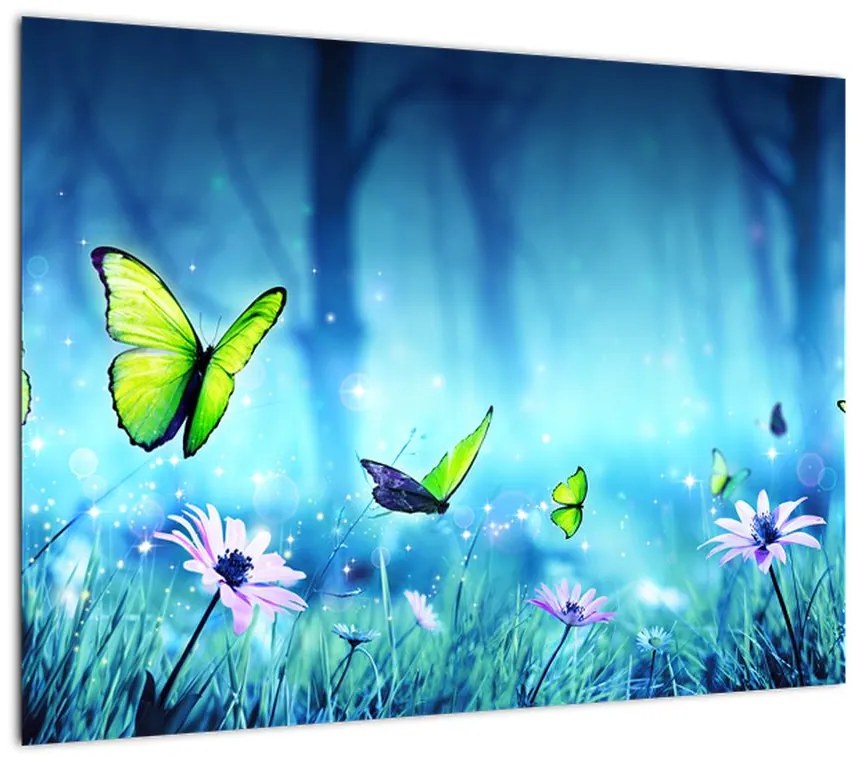 Obraz - Mistyczna leśna polana (70x50 cm)