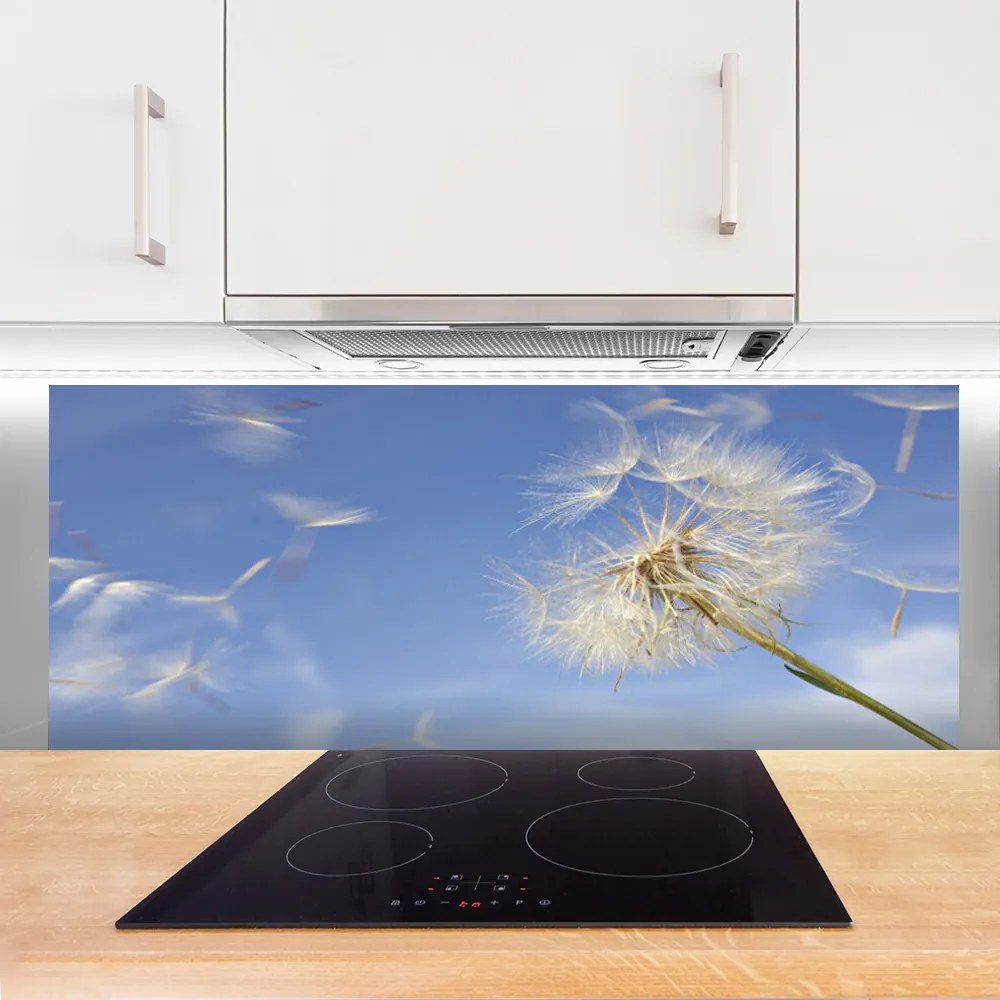 Panel Szklany do Kuchni Puszysty Dmuchawiec