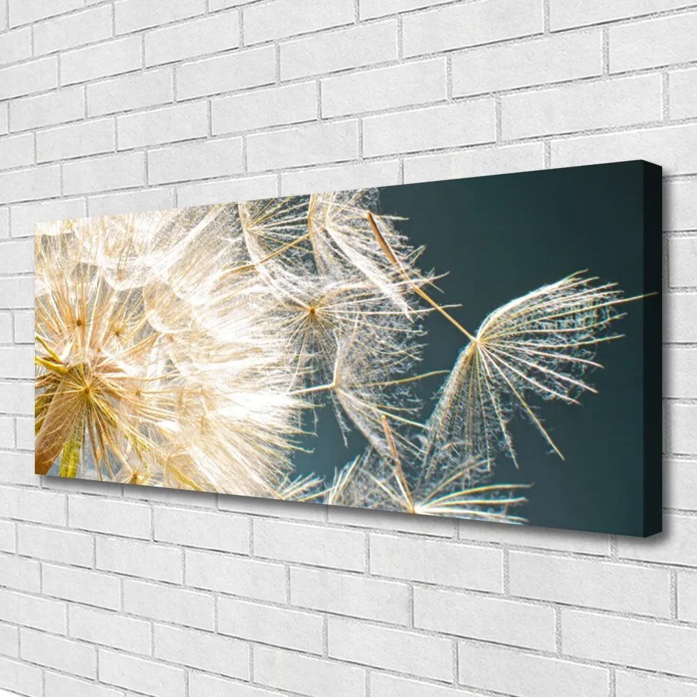 Obraz canvas Lekkość Mniszka Lekarskiego