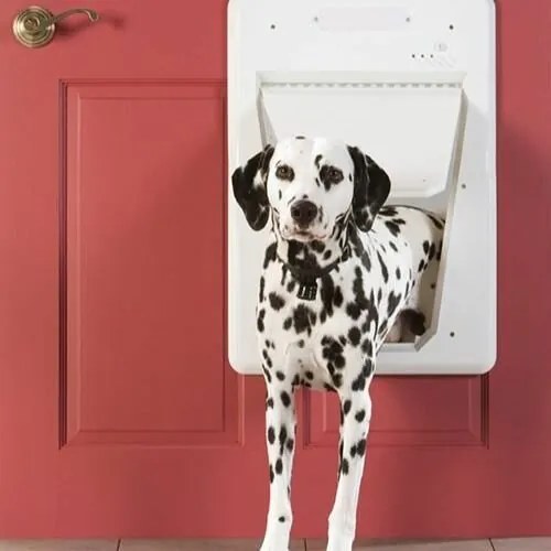 Drzwiczki elektroniczne PetSafe® SmartDoor™rozmiar L