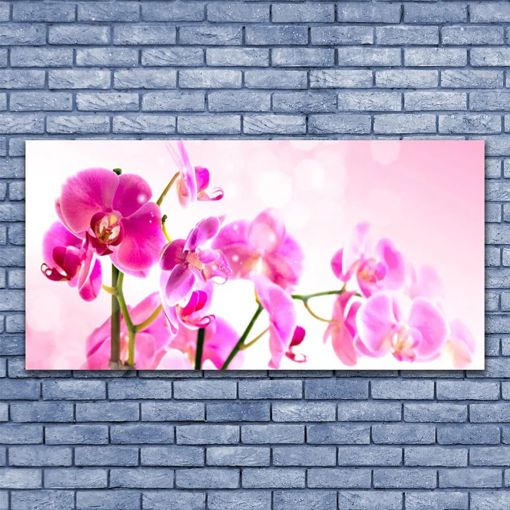 Obraz Canvas Kwiaty Roślina Natura