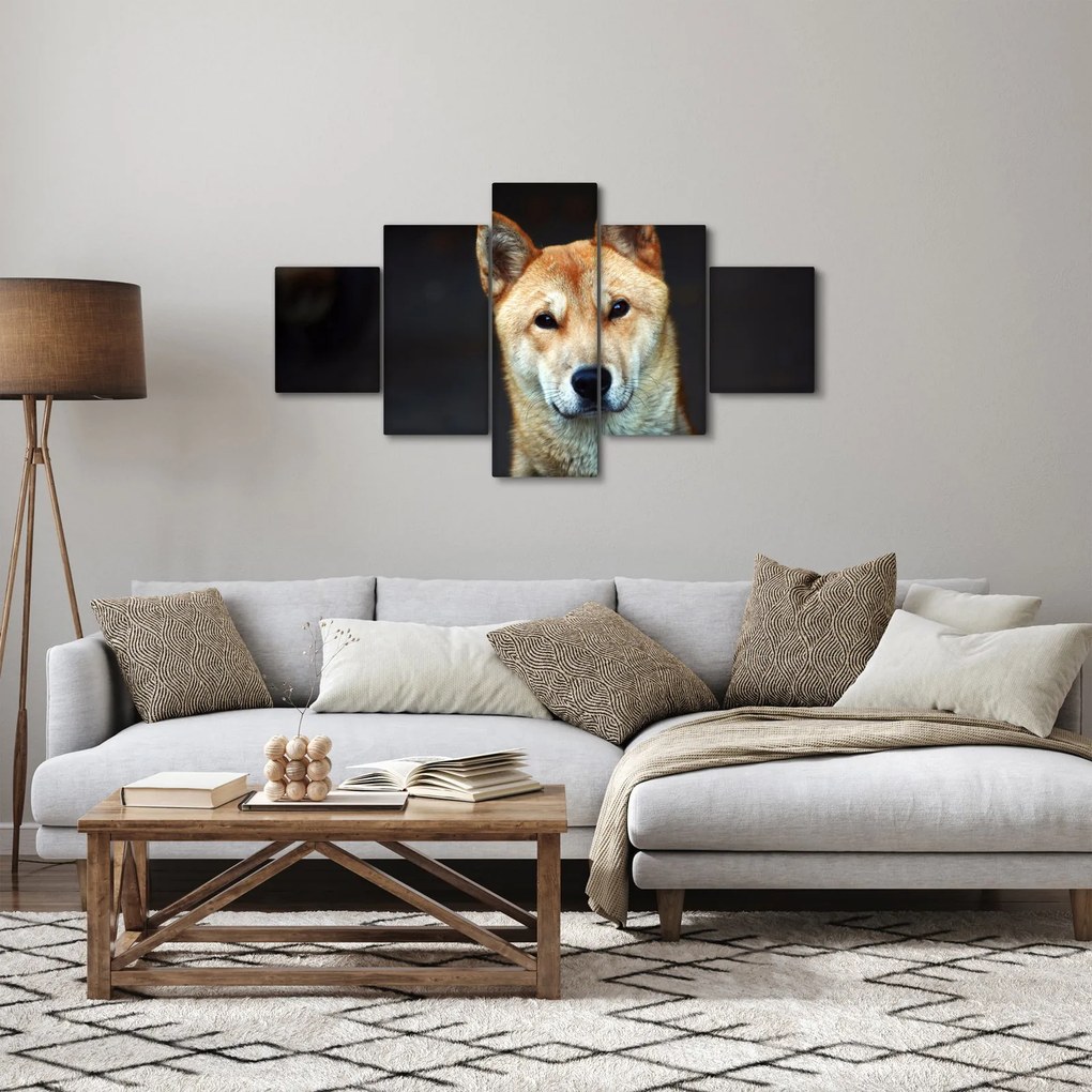 Obraz psa (125x70 cm)