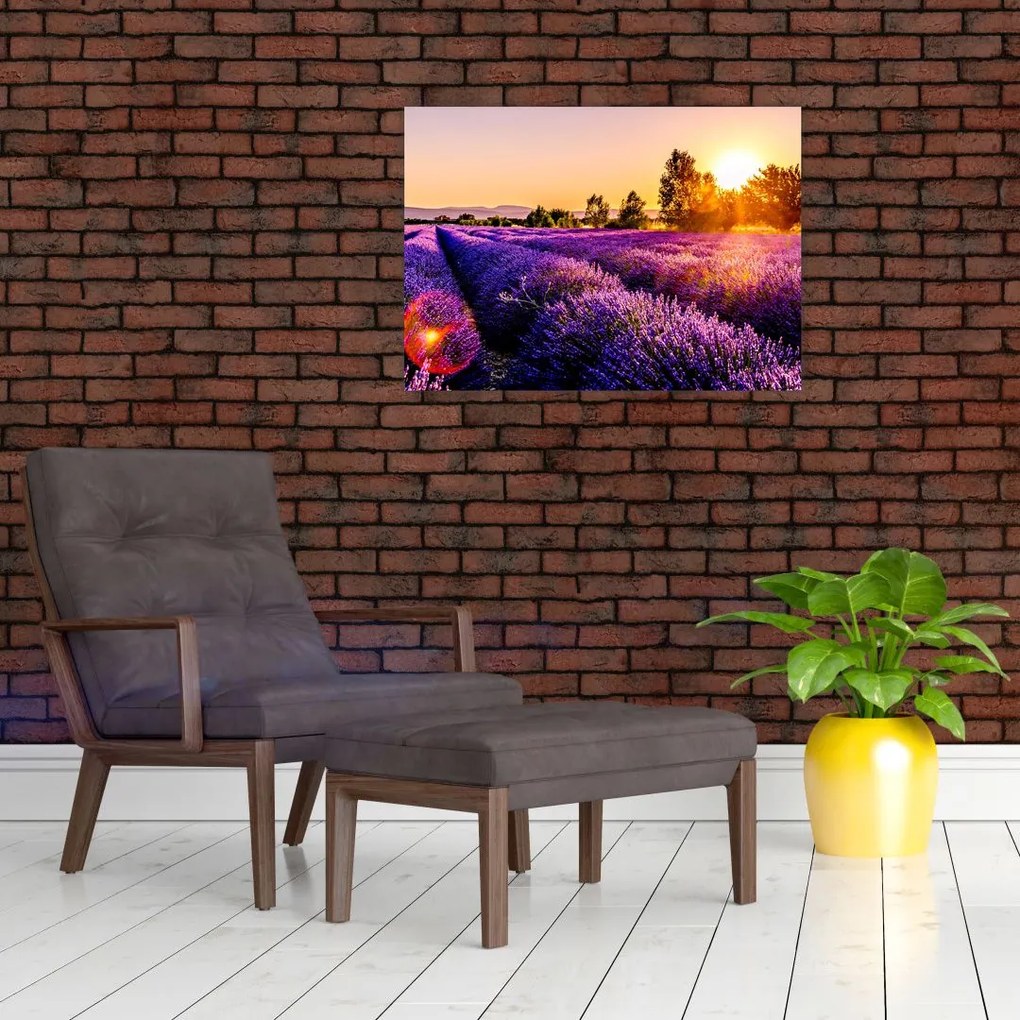 Obraz na szkle pola lawendy, Prowansja (70x50 cm)