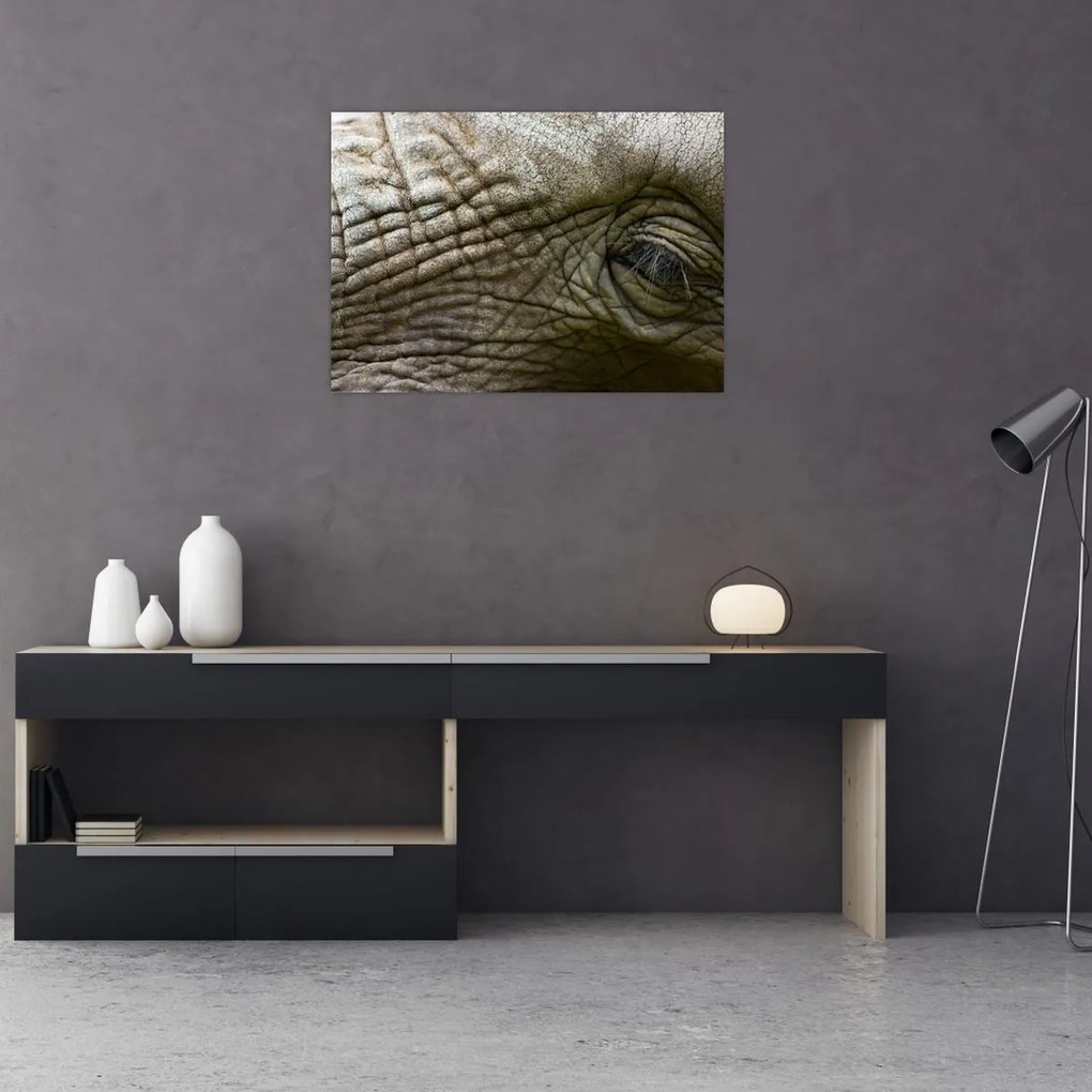 Obraz - Zbliżenie na stare oko słonia (70x50 cm)