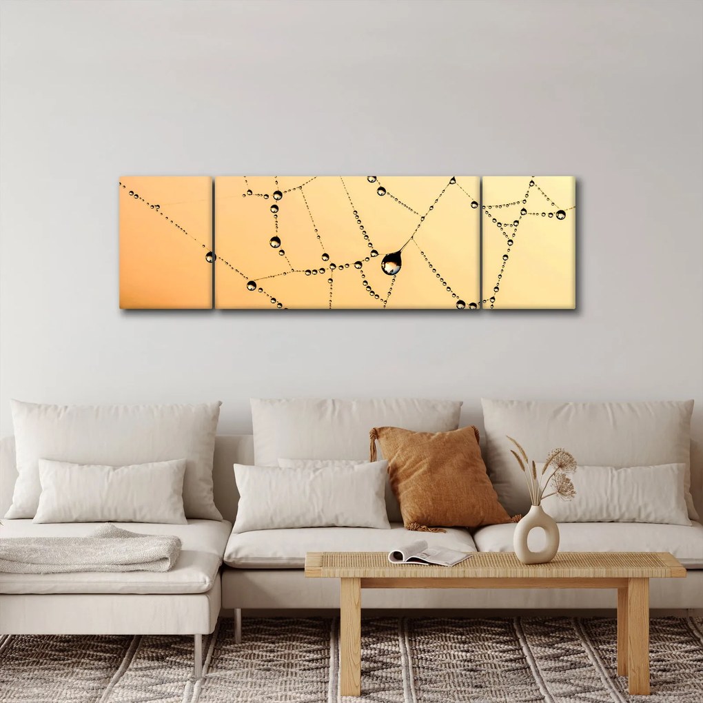 Obraz zroszonej pajęczyny (170x50 cm)