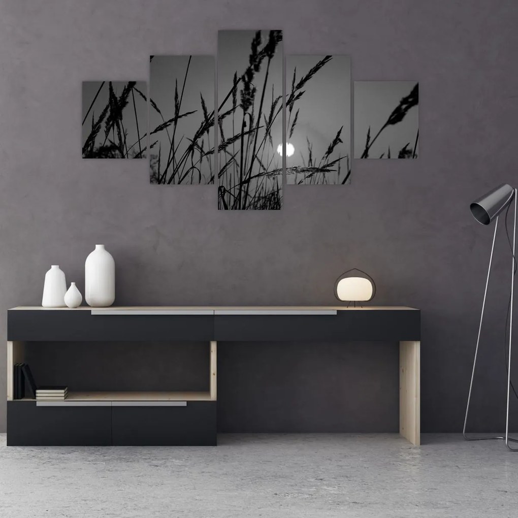 Obraz - Łąka z zachodem słońca (125x70 cm)