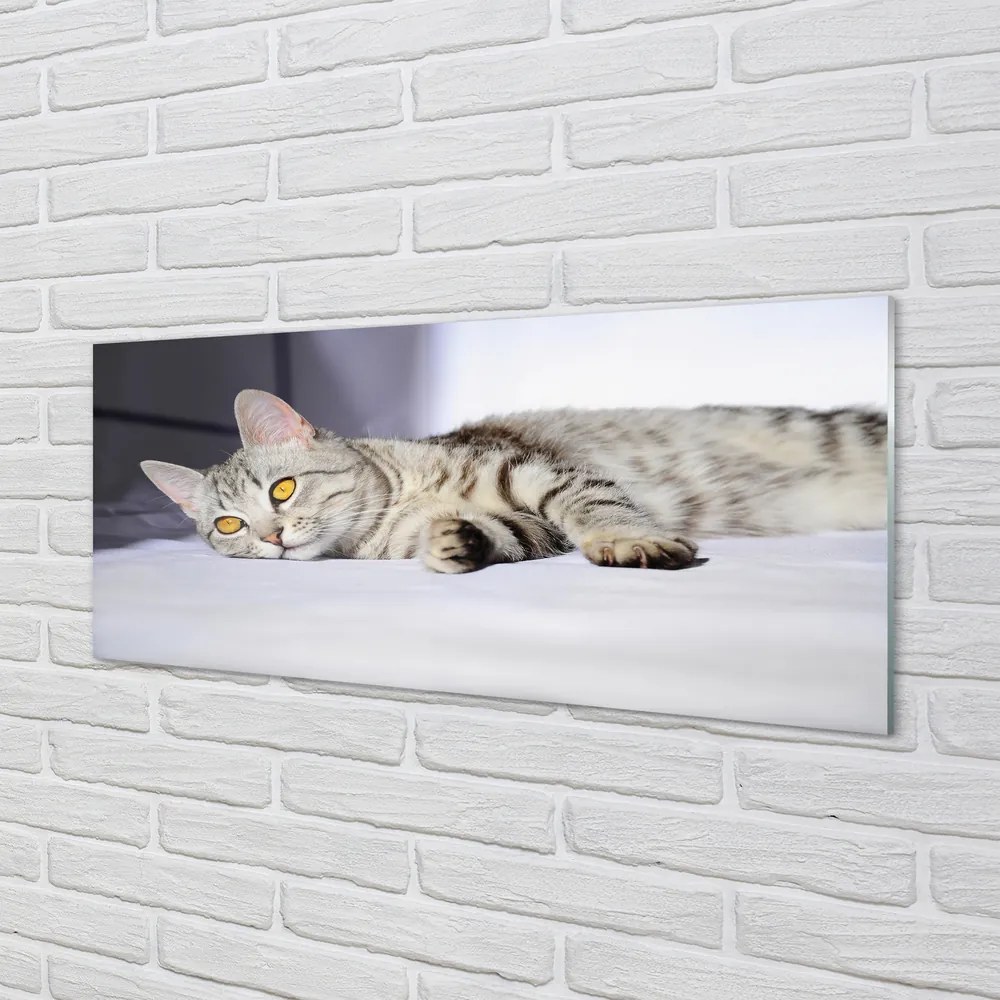 Szkło do Kuchni na Ścianę Leniwe Popołudnie na Kanapie