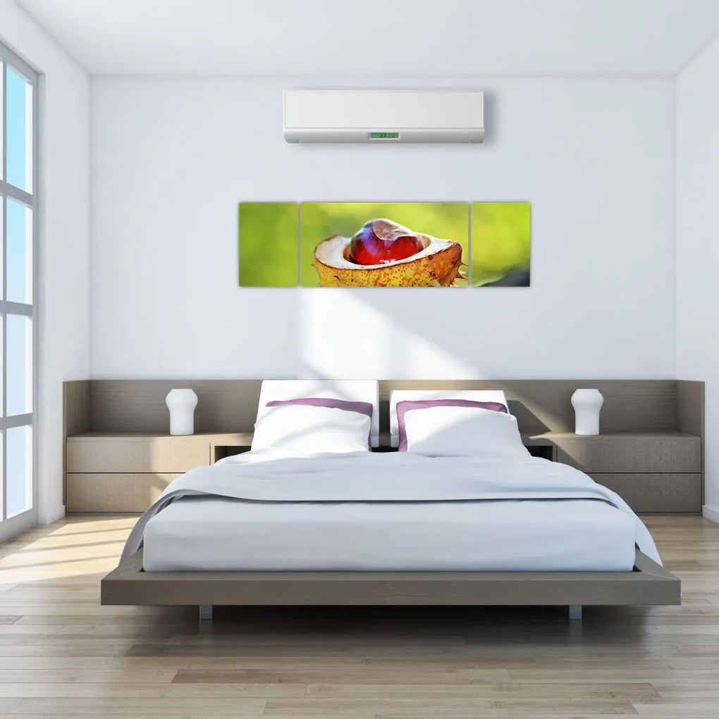 Obraz kasztanowów (170x50 cm)