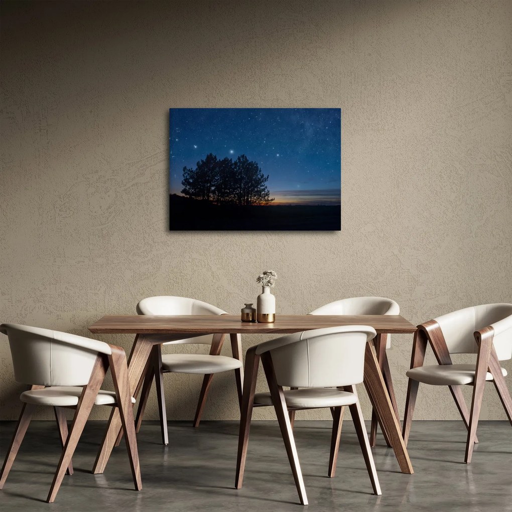 Obraz drzew w nocy (70x50 cm)