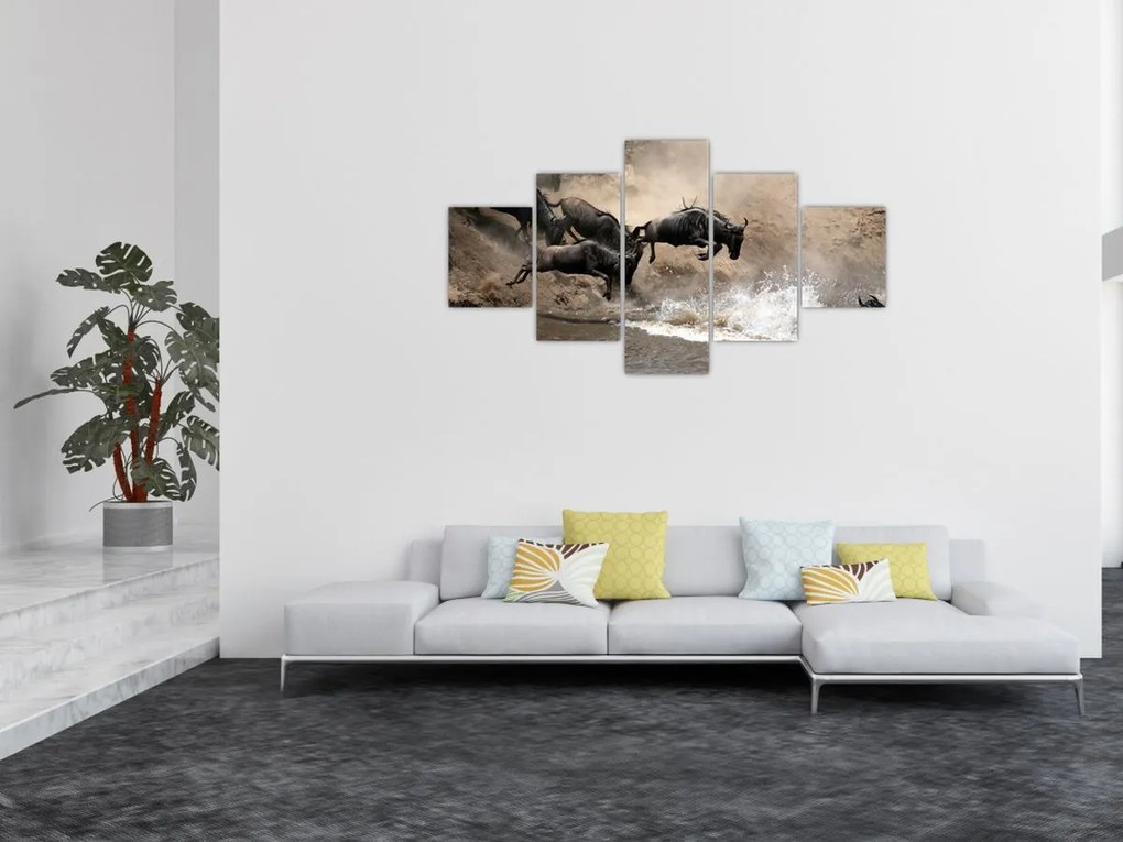 Obraz - Stado antylop gnu (125x70 cm)