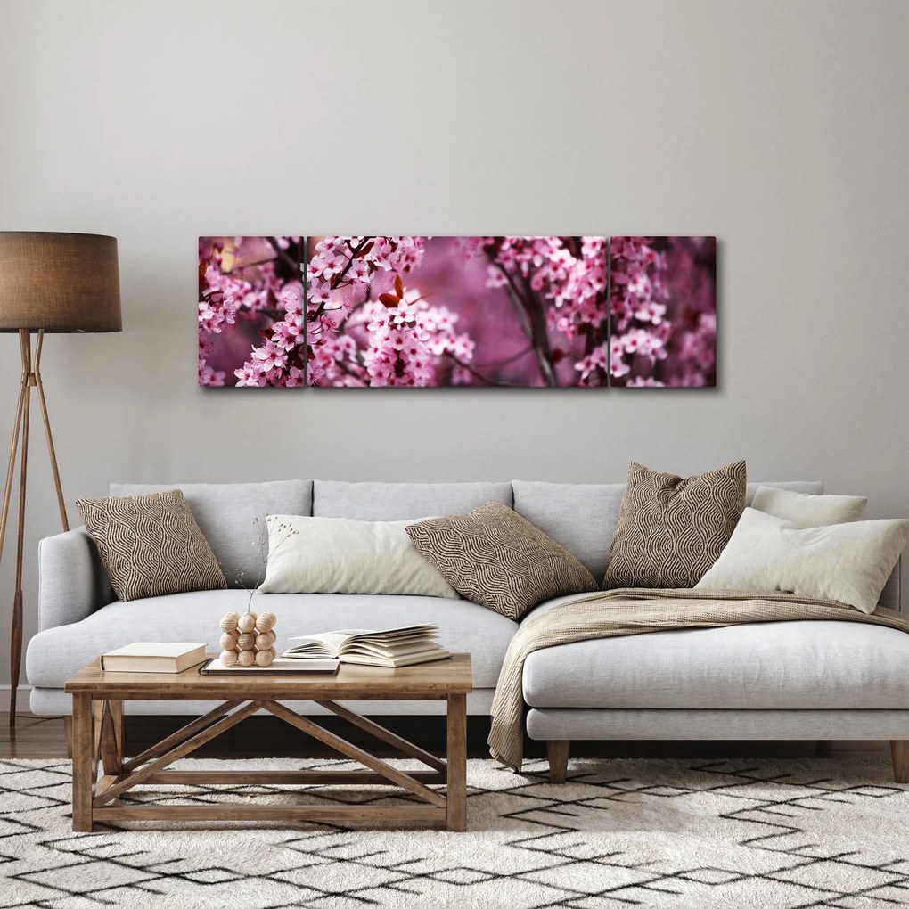 Obraz - Różowa sakura (170x50 cm)