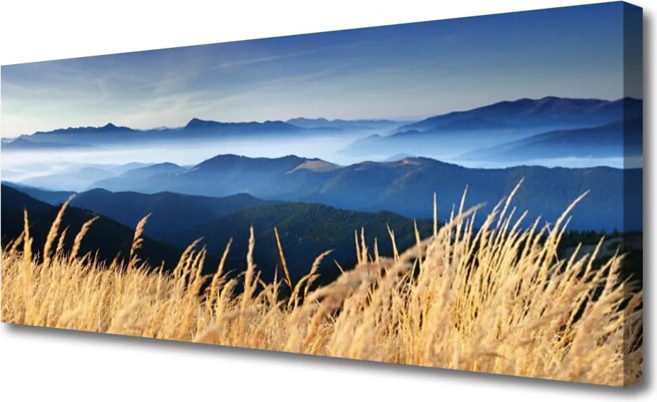 Obraz na płótnie Złociste Łany Zboża