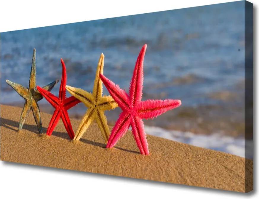 Fotoobraz na płótnie Rozgwiazda na Ciepłym Piasku
