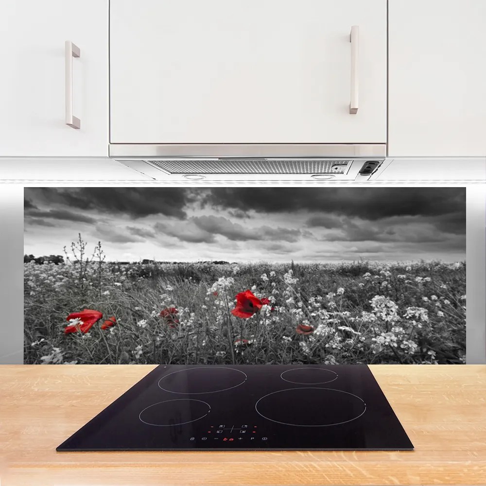 Panel Szklany Sielska Polana Kwiatowa