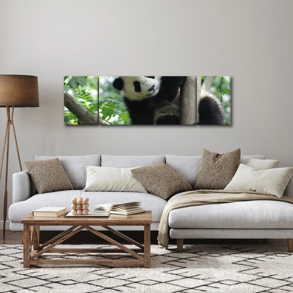 Obraz - Panda na drzewie (170x50 cm)