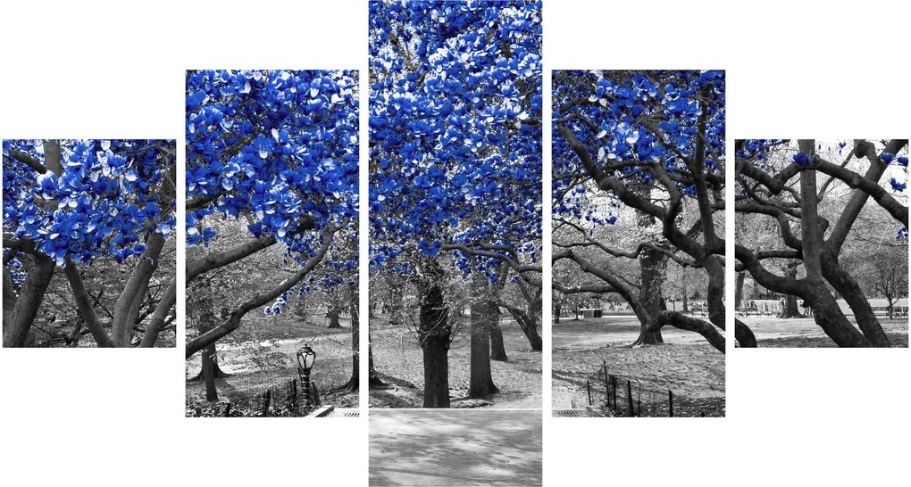 Obraz - Niebieskie drzewa, Central Park, New York (125x70 cm)