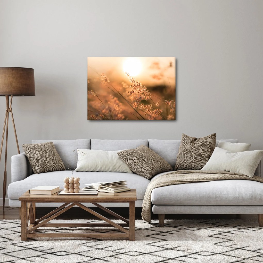 Obraz - Trawa na słońcu (70x50 cm)