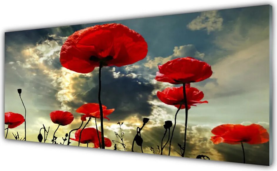 Panel Szklany do Kuchni Czerwone Maki o Poranku
