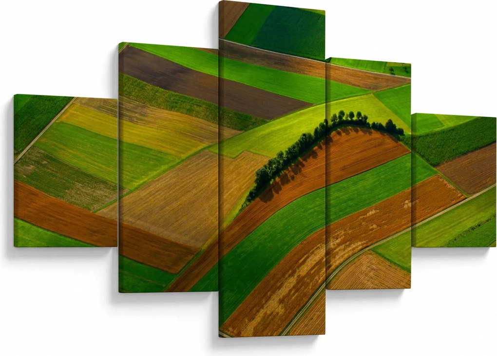 Obraz - Pola, łąki (125x70 cm)