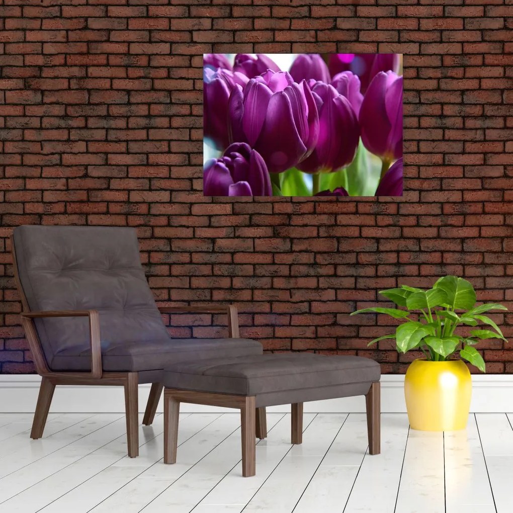 Obraz tulipanów (70x50 cm)