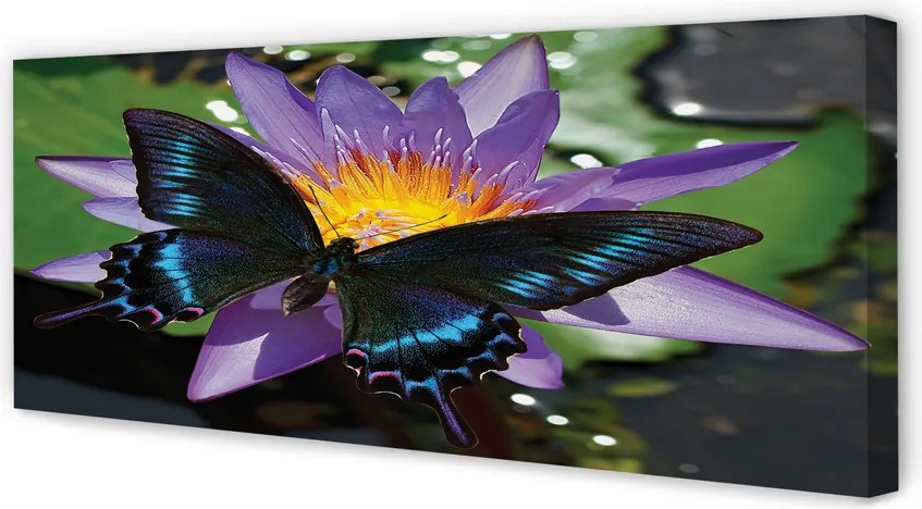 Obraz canvas na ścianę Kwiat z Motylem