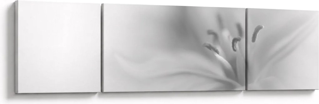 Obraz - Delikatna lilia (170x50 cm)