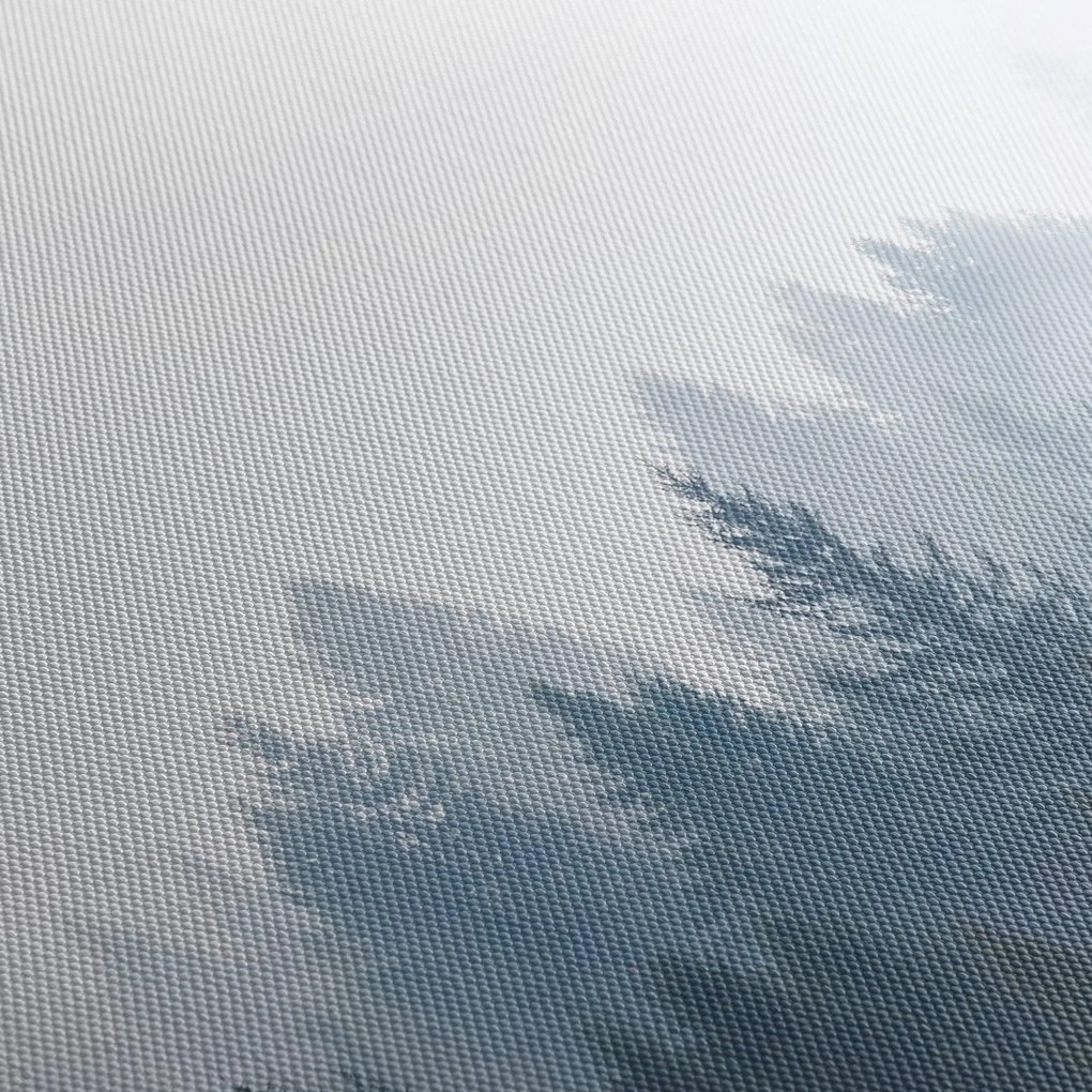 Obraz - Mglisty las (170x50 cm)