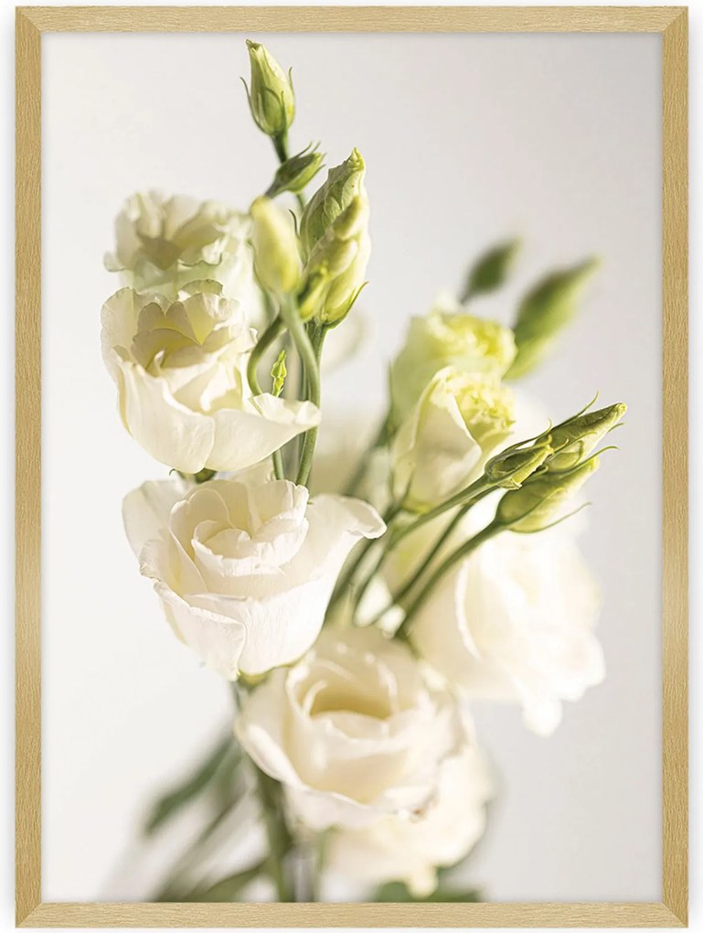Plakat Elegant Flowers
