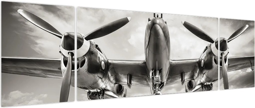 Obraz - Warbird (170x50 cm)