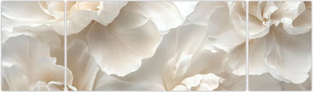 Obraz - Delikatne piwonie (170x50 cm)