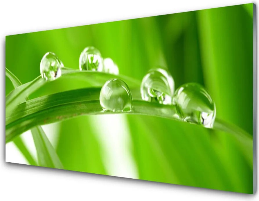 Panel nad blat kuchenny Tropikalna Flora Liściasta