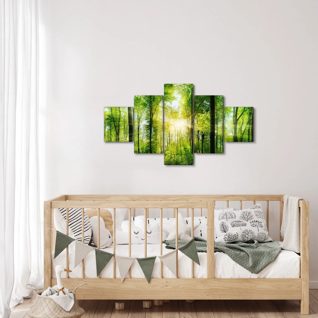 Obraz - Świt w lesie (125x70 cm)