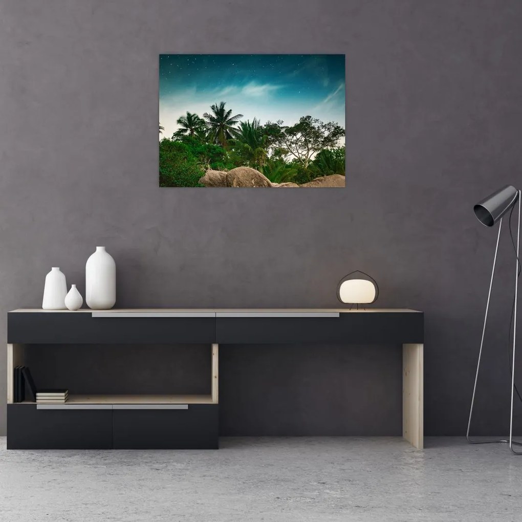 Obraz na szkle - palmy (70x50 cm)