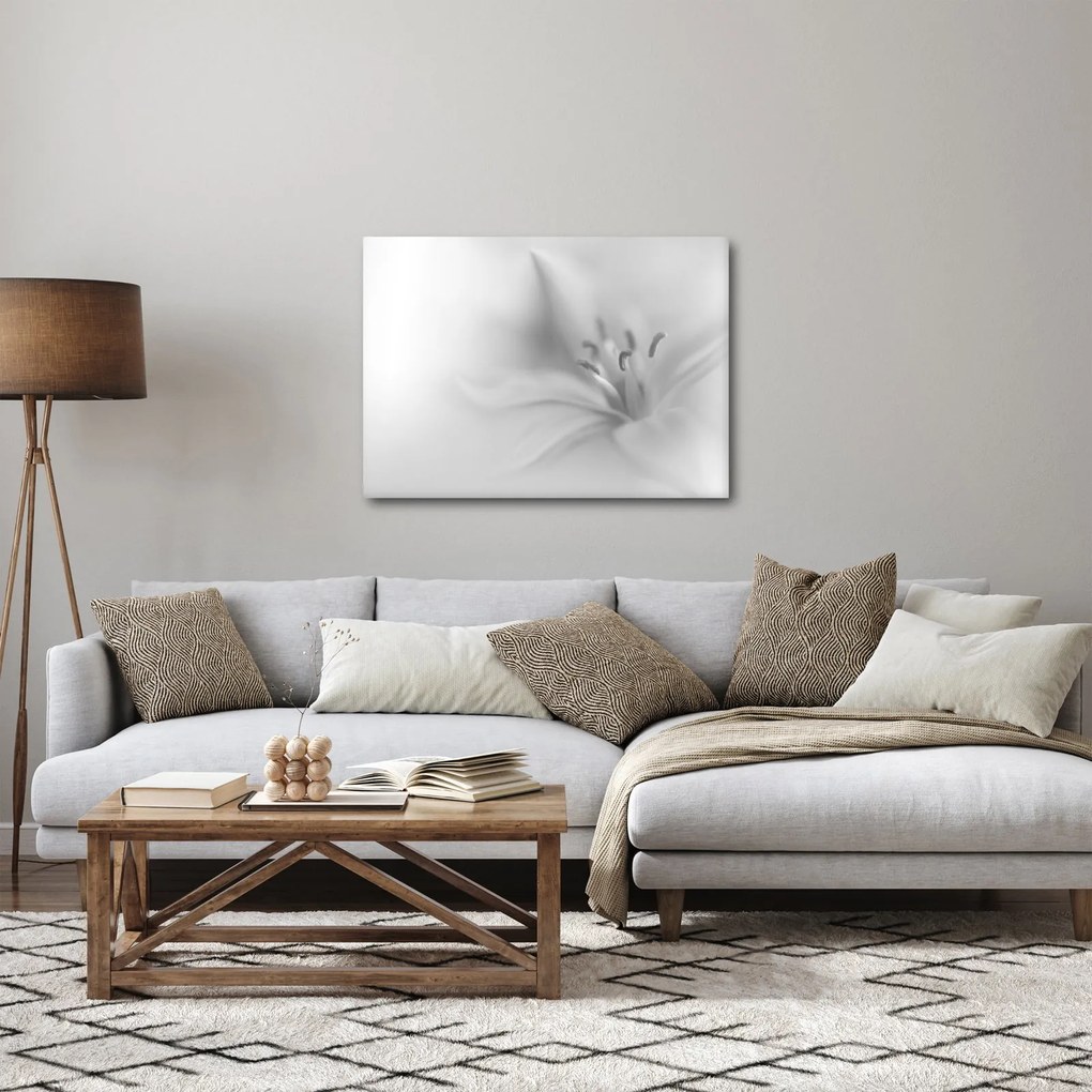 Obraz - Delikatna lilia (70x50 cm)