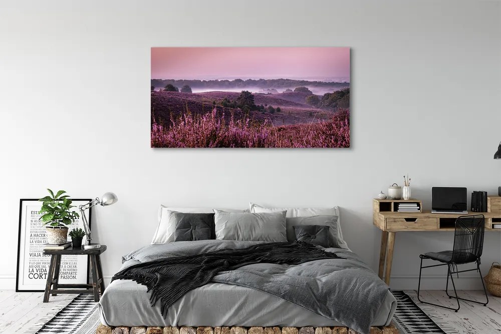 Obraz drukowany na płótnie Pole Wrzosów