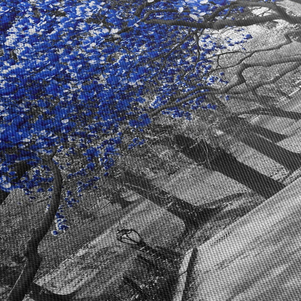 Obraz - Niebieskie drzewa, Central Park, New York (125x70 cm)