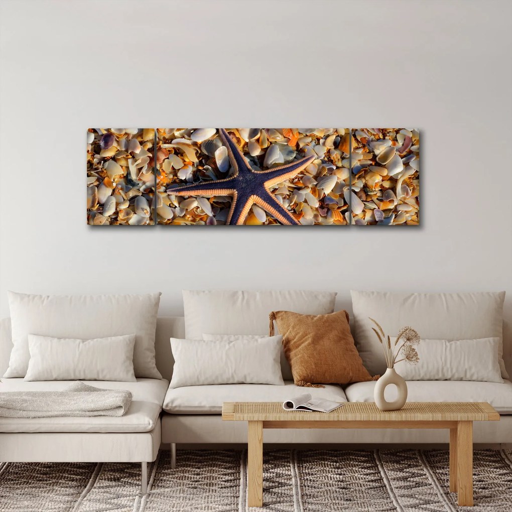 Obraz rozgwiazdy (170x50 cm)