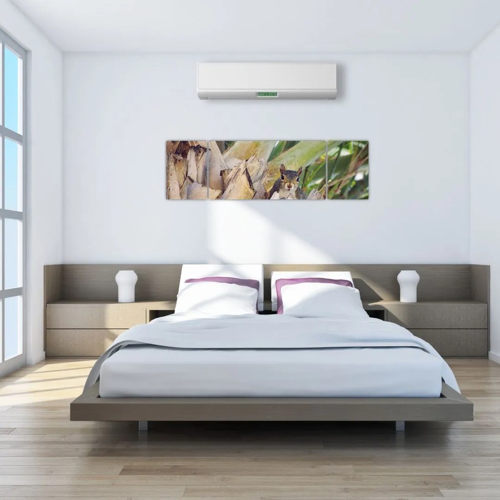 Obraz wiewiórki na drzewie (170x50 cm)