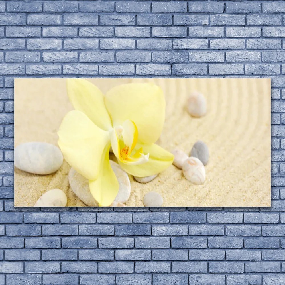 Obraz na płótnie Klasyczna Elegancja Kwiatów