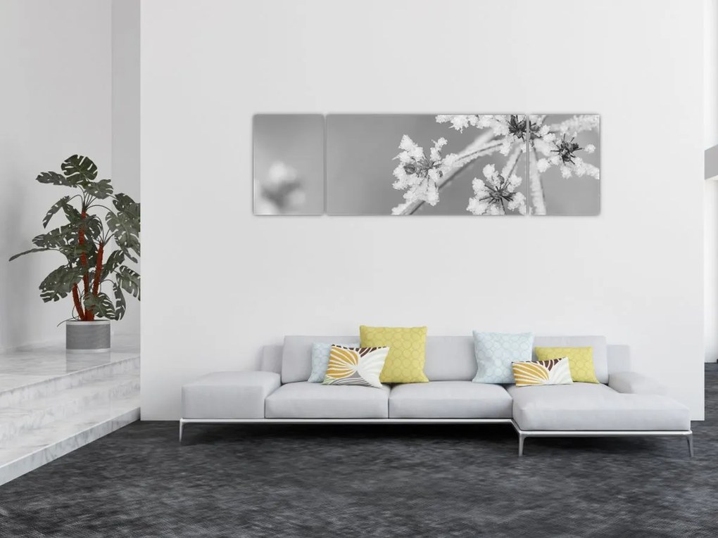 Obraz - Mrożona roślina (170x50 cm)
