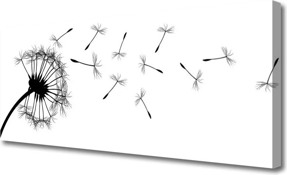 Obraz canvas Poranne Perły na Trawie