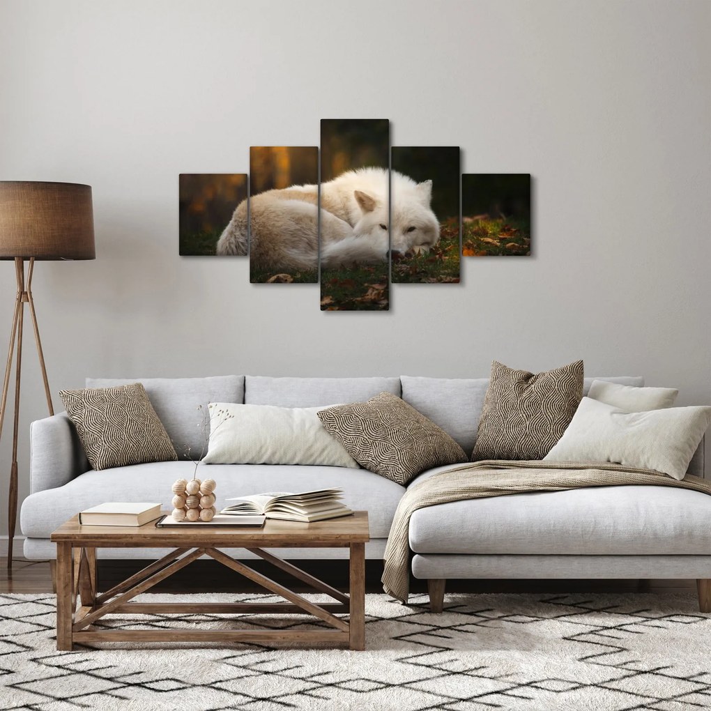 Obraz - Odpoczywający wilk (125x70 cm)