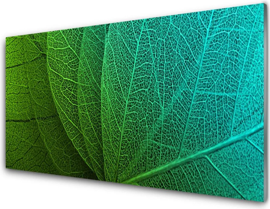 Panel Kuchenny Botaniczna Forma Abstrakcyjna