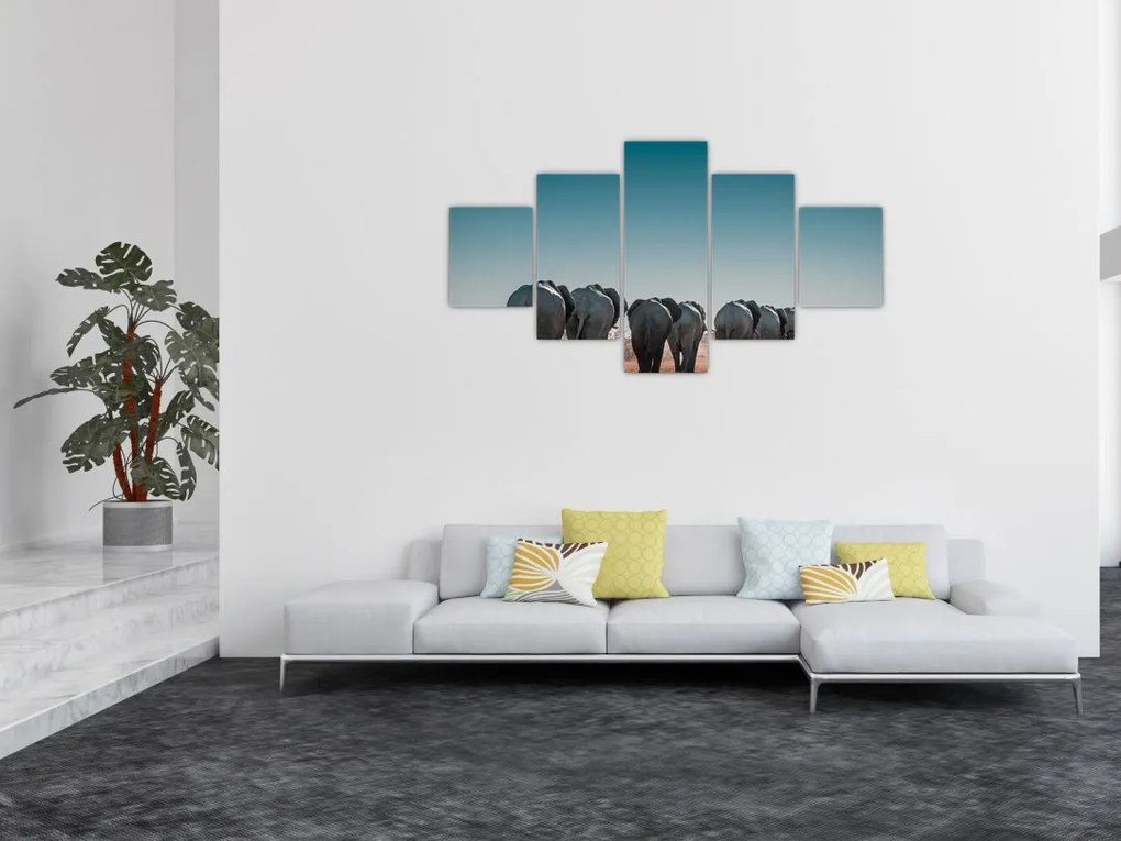 Obraz - Odejście słoni (125x70 cm)