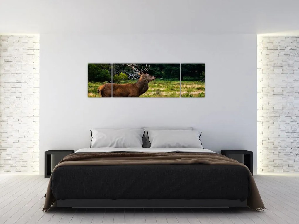 Obraz jelenia (170x50 cm)