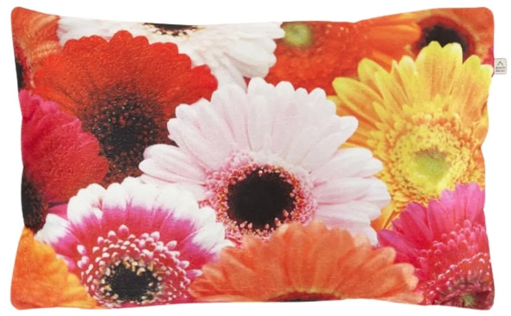 Dekoracyjna poszewka na poduszkę SAMARA GERBERA 30x50 cm, kolorowy